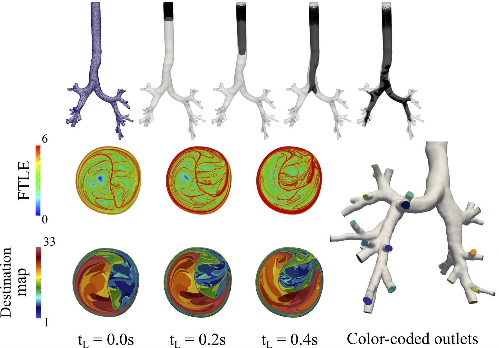 Research – Cardiovascular Biomechanics Lab